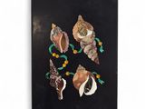 a painting of seashells on a black background