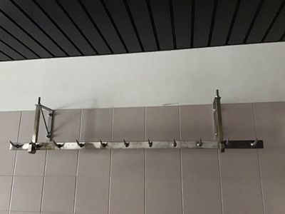 Dents de loup au nombre de 11 avec supports en inox + Dents de loup au - Photo 1