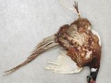 Photo 1/4 du lot