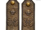 pair of antique brass door handles with a crown on each of them