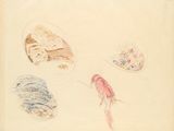 an image of a drawing of a bird, a fish, and a bowl of food