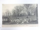a black and white photo of a large group of dogs