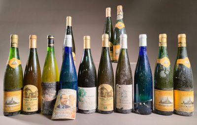 les nombreuses bouteilles de vin alignées sur la table