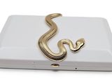 un serpent perché sur une boîte blanche