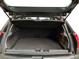 a trunk of a car with the trunk open