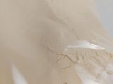 a close up of a bag of food on a table