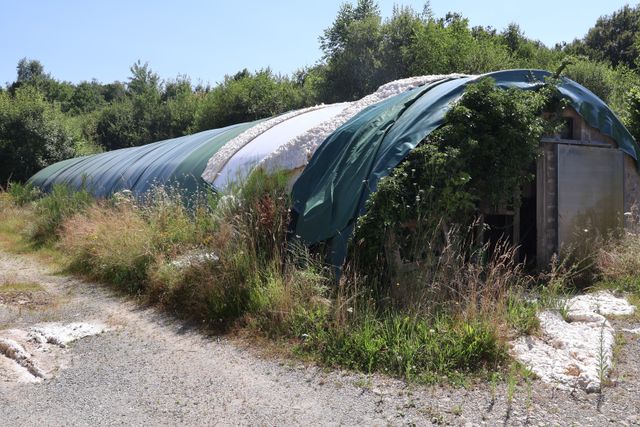 Tunnel structure acier galvanisé de 1991 avec bâches isolées, en ...