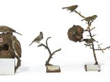 trois oiseaux sont perchés sur une branche, avec un nichoir en arrière-plan