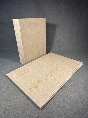 a close up of a piece of wood on a gray surface