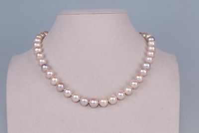 Beau collier choker de 43 perles de culture rondes de ton iv…