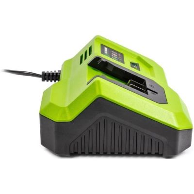 513 / Chargeur rapide - FIELDMANN - Pour batterie 20V …