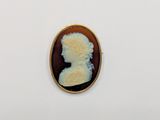 a close up of a broochee of a woman ' s profile