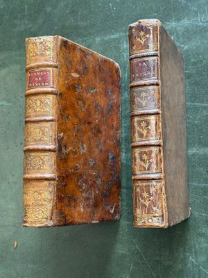 deux vieux livres posés sur une table l'un à côté de l'autre