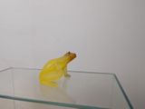 a yellow frog figurine sitting on top of a glass table