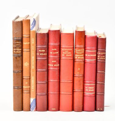 plusieurs vieux livres sont alignés sur une surface blanche