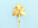 a yellow flower that is on a blue surface