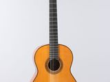 a close up of a guitar hanging on a wall