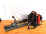 a picture of a backpack and a pair of baseball bats on a table