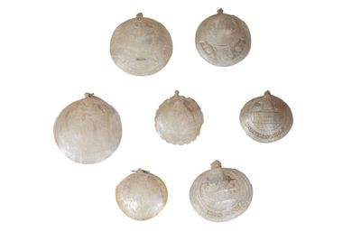 plusieurs coquillages sont disposés en cercle sur une surface blanche