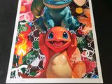 framed and matted print of a pokemon movie poster with a picture of a couple of pokemons