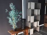 une plante posée sur un banc dans une pièce