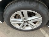 a dog that is hiding under the tire of a car
