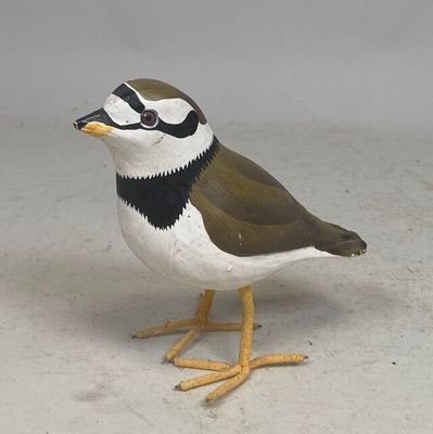 a small bird that is standing on the ground