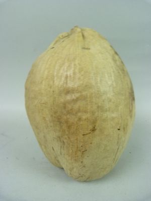 une photo d'un citron entier sur une assiette blanche