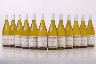 six bouteilles de vin blanc alignées sur une table
