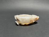 a close up of a small white object on a black surface