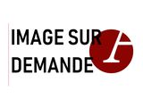 Photo 1/1 du lot