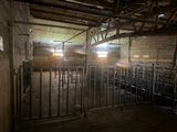 a barn with a lot of stalls inside of it
