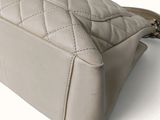 chanel beige quilted leather handbag on white background