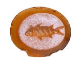 a fish that is sitting in a bowl of salt