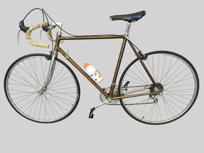 Vélo CBT ITALIA CASTRO Taille M équipé en partie Campagnolo,…