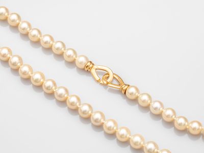 a single strand of pearl beads with a gold clasp