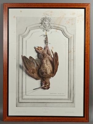 une vieille photo d'un oiseau accrochée au mur dans un cadre