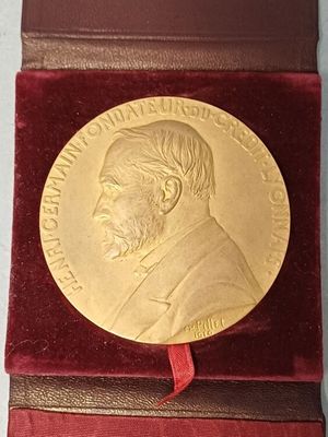 a gold medal on a red velvet case with a red ribbon