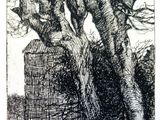 dessin d'un arbre avec une clôture devant