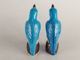 two blue birds sitting on top of each other