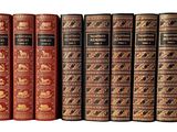 une rangée de livres alignés sur une étagère