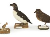 trois oiseaux perchés les uns sur les autres