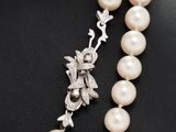 a close up of a pearl necklace with a silver clasp