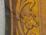 a bug that is sitting on top of a burlock