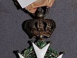a medal with a star on it and a ribbon around it