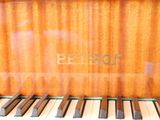 a close up of a piano with a blurry background