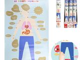 a picture of a child ' s hand holding a toothbrush next to a poster of the human body