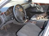 a cat sitting in the driver ' s seat of a car
