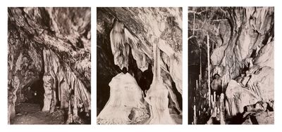 trois photographies en noir et blanc représentant un homme et une femme devant un arbre