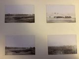 several black and white photos of a herd of cattle in a field